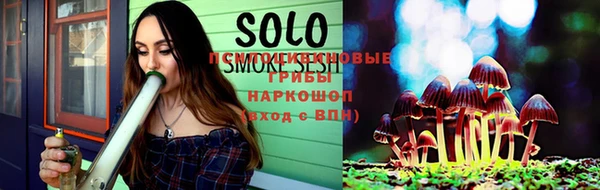 индика Алзамай