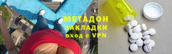 индика Алзамай