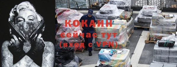 мет Алексин