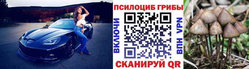 Галлюциногенные грибы GOLDEN TEACHER Отрадная