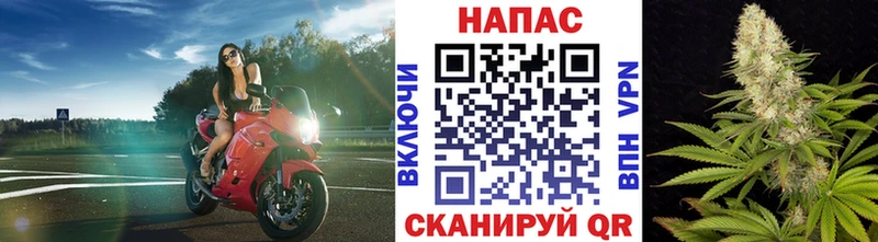Конопля марихуана  Отрадная 